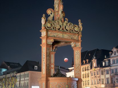 Mainz Suche - Mainz-Kastel - Fotofarmer Mainz