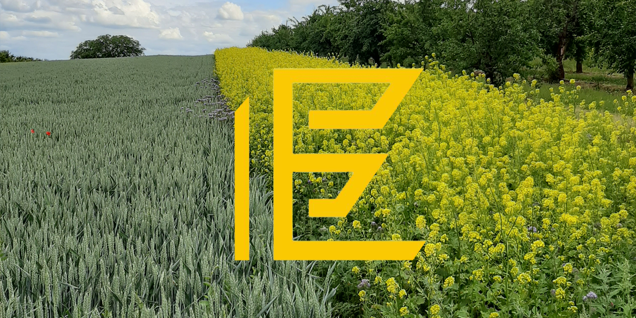 Mainz Suche - Zu finden unter: Coaching / Experten / Dienstleistung - Mainz Finthen - Energiewelt24