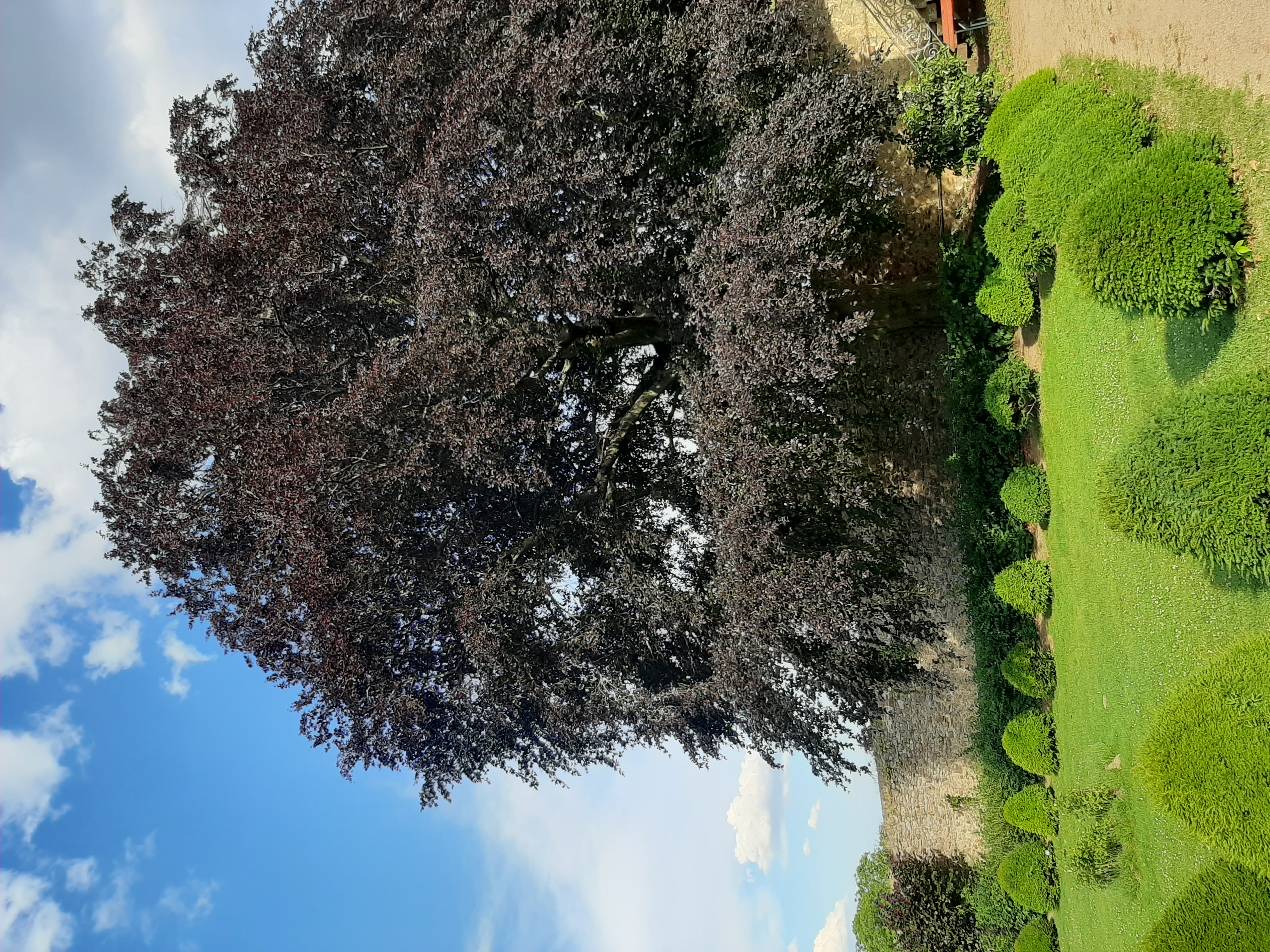 Einkaufen Mainz: Energiewelt24