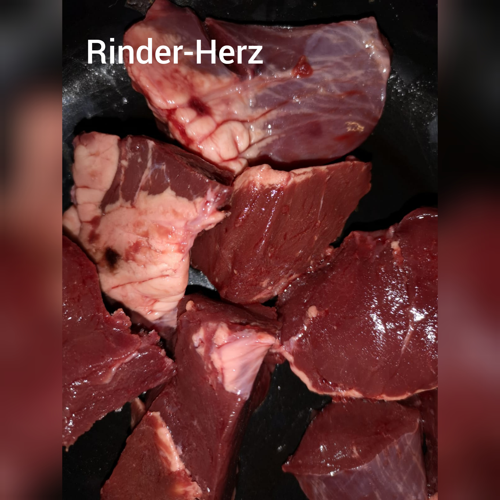 Mainz Suche - Barf Insel Mainz - Ernährung für Hunde & Katzen